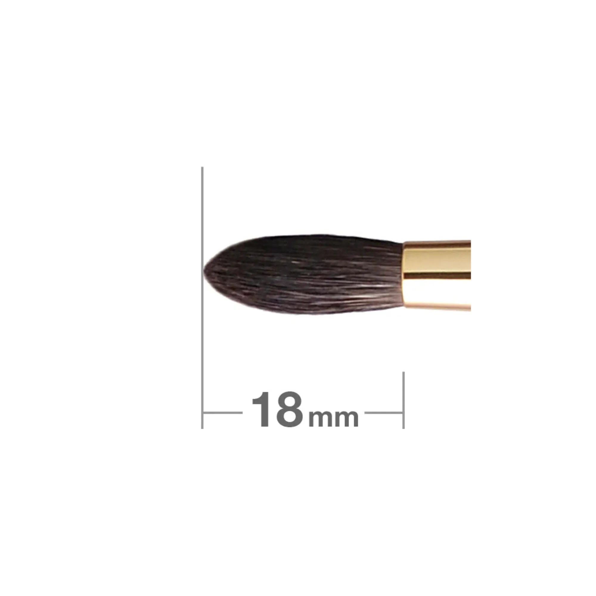 Hakuhodo S142Bk Eyeshadow Brush Round