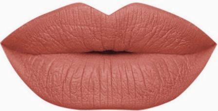 Indigenous Rose Liquid Lipstick - Quicou: Matte, Long Wear