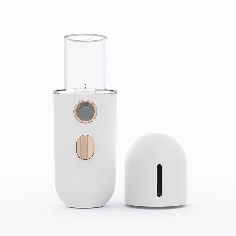 Mini steamer facial moisturizer